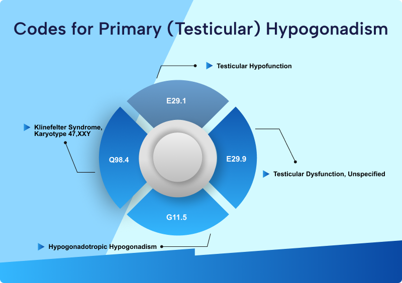 Infographic showing ICD-10 codes for primary hypogonadism including E29.1, E29.9, G11.5, and Q98.4 with their clinical descriptions.